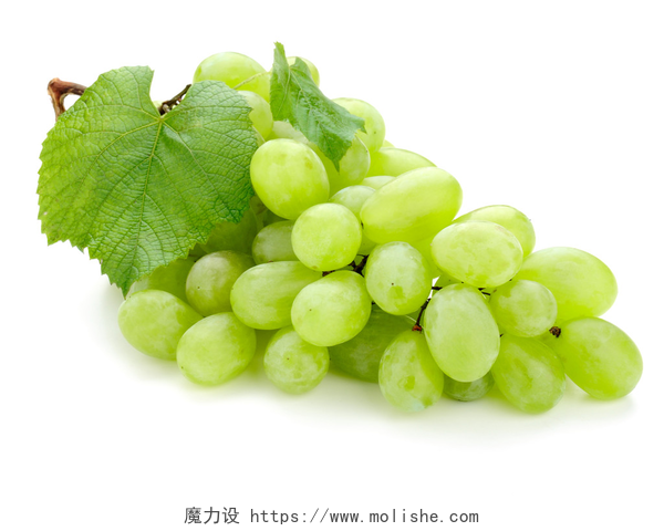 白色背景上的绿色新鲜葡萄绿色的葡萄